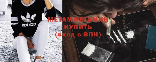 амф Ельня