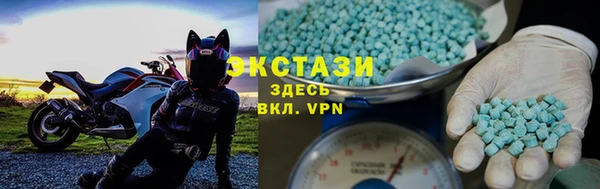 амф Ельня