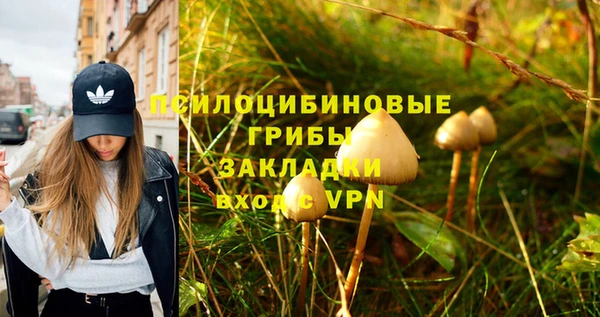 тгк Елабуга