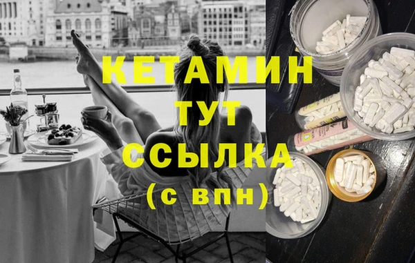 крисы Дмитров