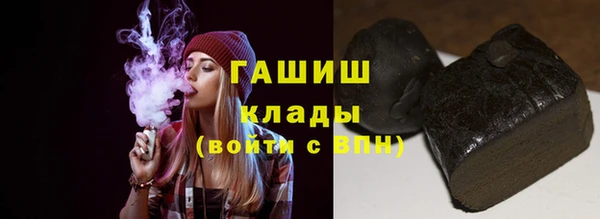 амф Ельня
