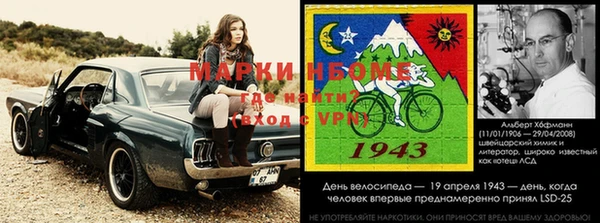 амф Ельня
