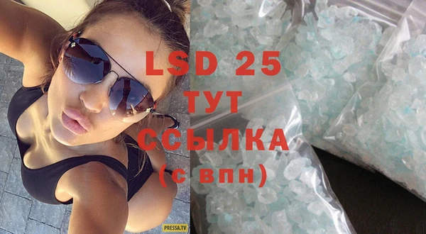 амф Ельня
