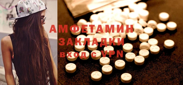амф Ельня