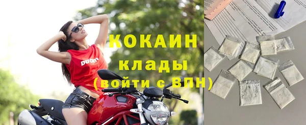 крисы Дмитров