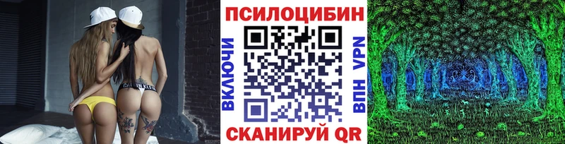 Галлюциногенные грибы мицелий цена Шенкурск